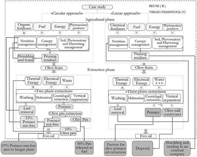 Life cycle and circularity metrics to measure the sustainability of closed-loop agri-food pathways